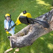 Best Commercial Tree Services  in James Island, SC